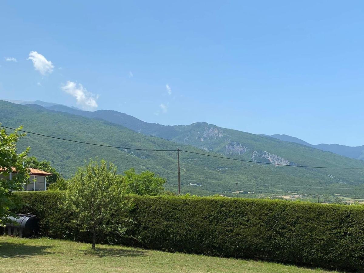 Villa Amfitriti Leptokaryá Extérieur photo